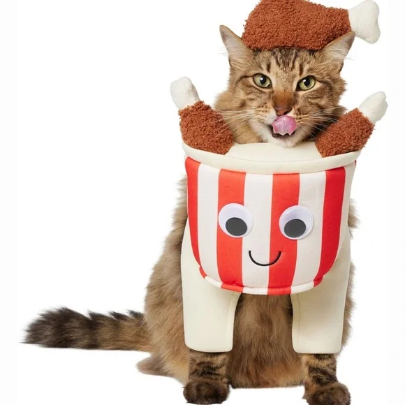 Frisco Front Walking Fried Chicken Bucket. Dog or Cat Costume - Picture 7 of 8